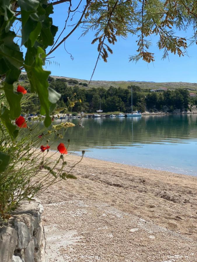Villa Cvita Повляна Екстер'єр фото
