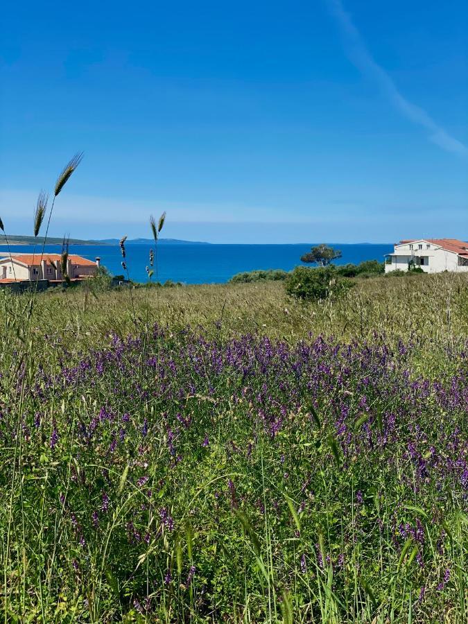 Villa Cvita Повляна Екстер'єр фото