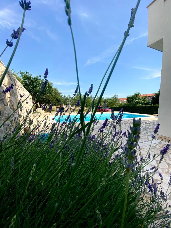Villa Cvita Повляна Екстер'єр фото