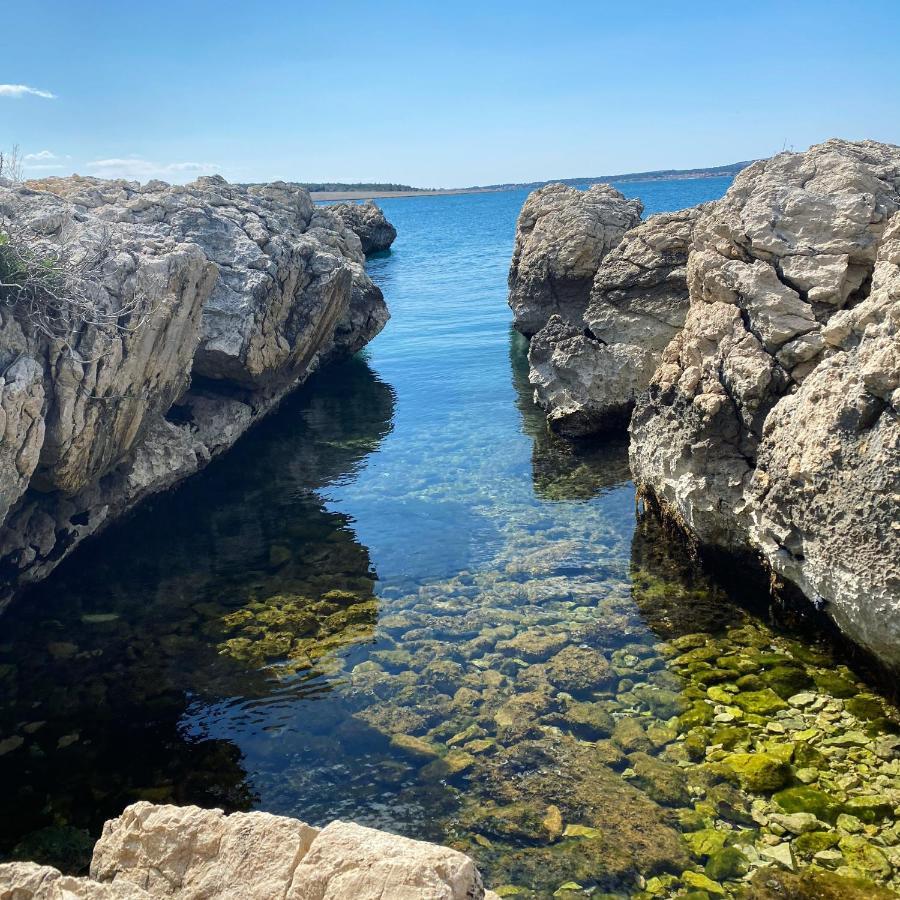 Villa Cvita Повляна Екстер'єр фото