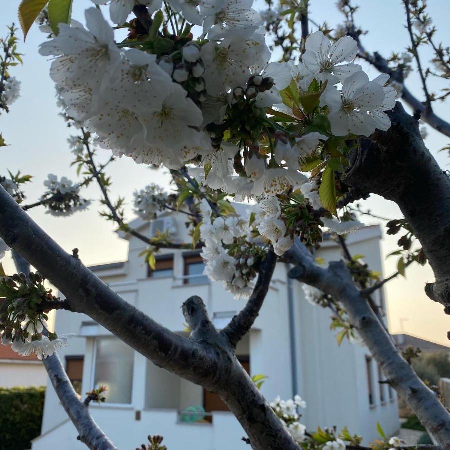 Villa Cvita Повляна Екстер'єр фото