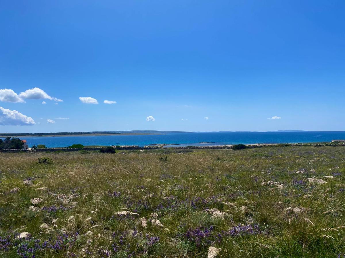 Villa Cvita Повляна Екстер'єр фото